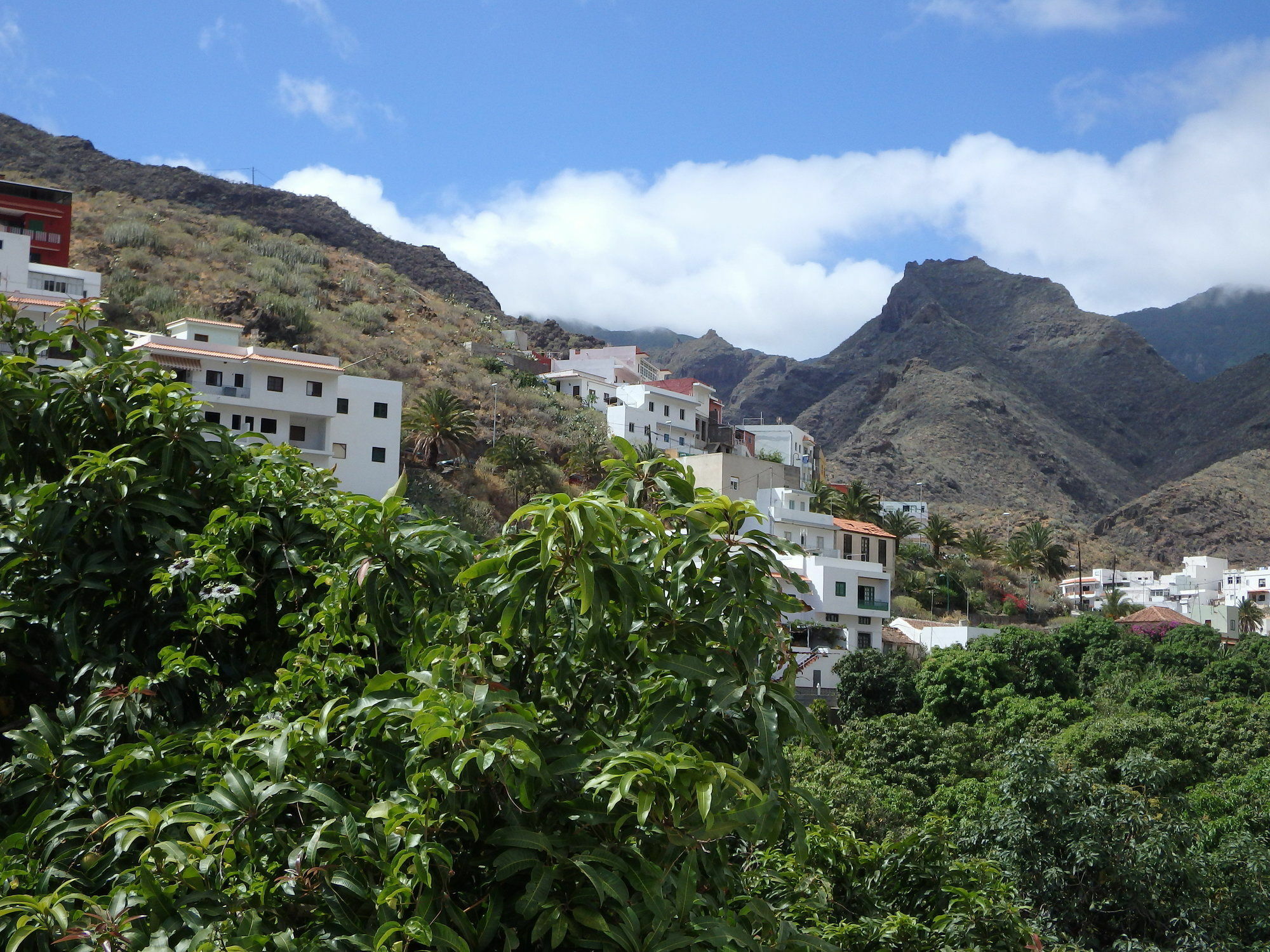 La Casa De Magda Villa Santa Cruz de Tenerife Ngoại thất bức ảnh